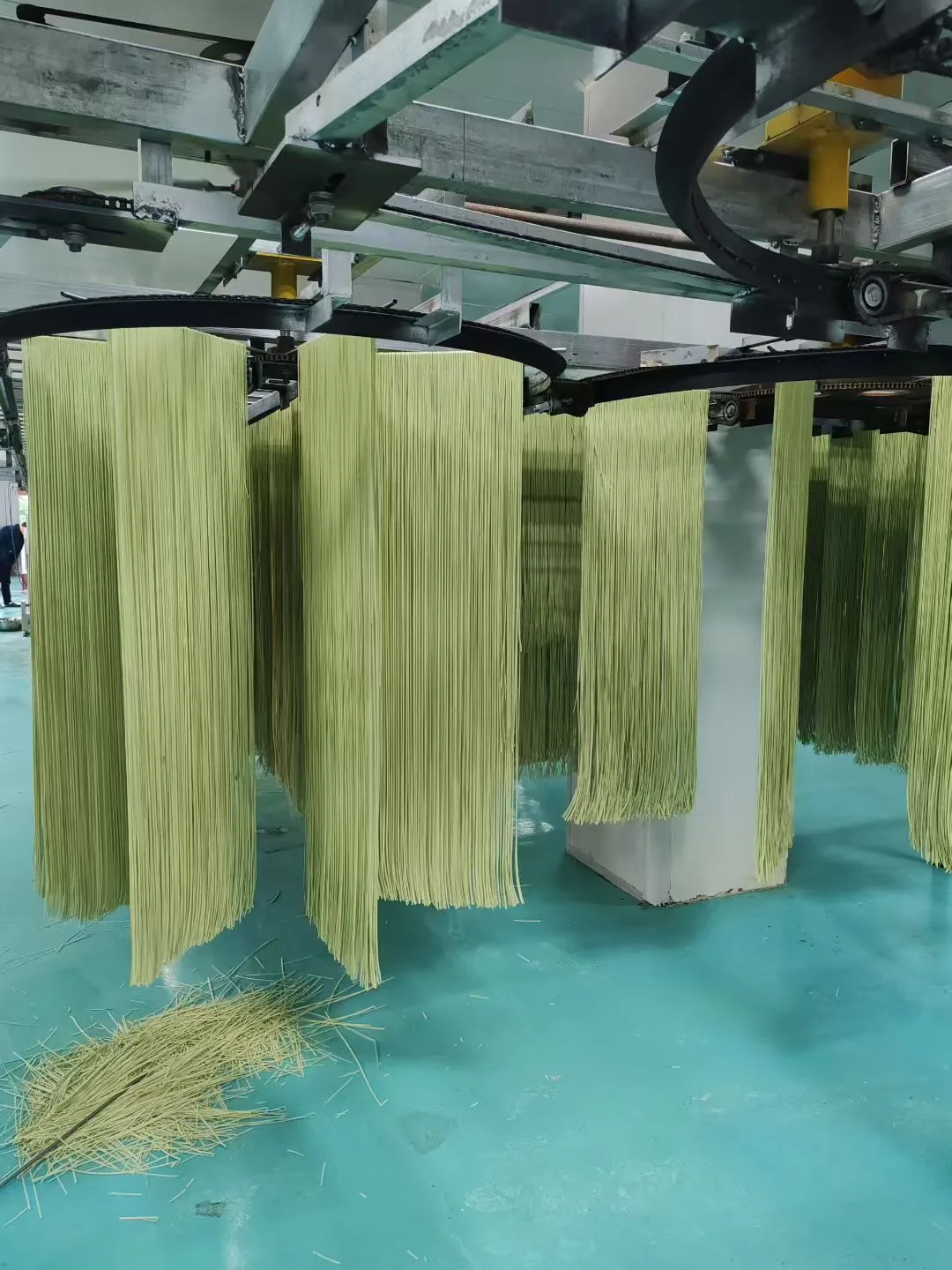 Matcha noodle drying line